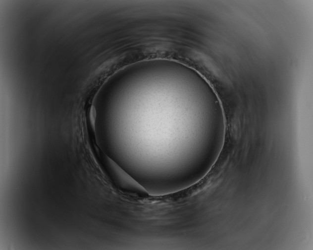 X0000092210821200709210948