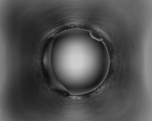 X0000092210822200709210948