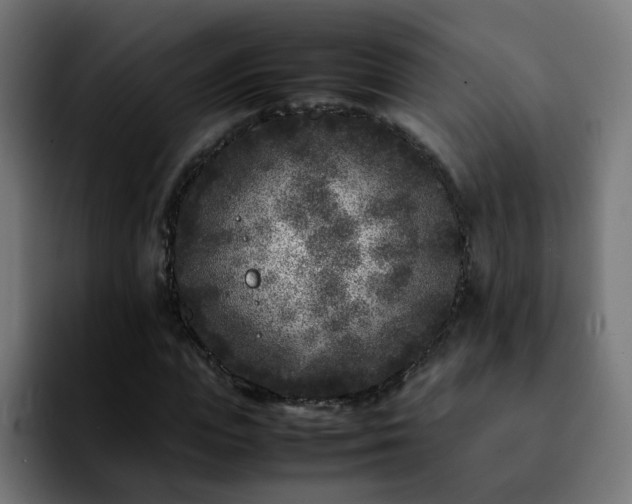 X0000092210823200709210948