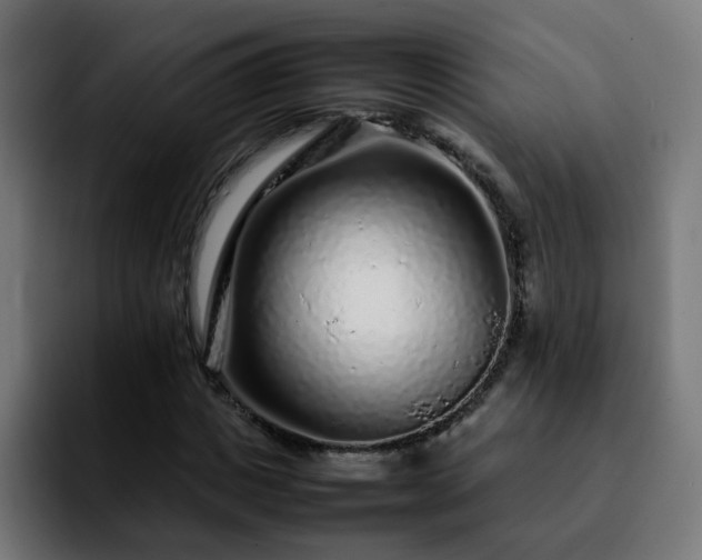 X0000092210825200709210948