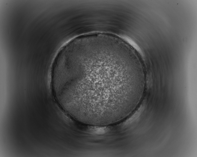 X0000092210831200709210948