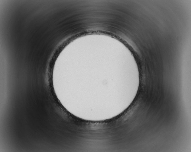 X0000092210832200709210948