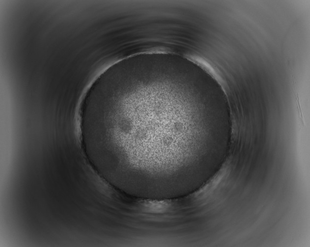 X0000092210835200709210948