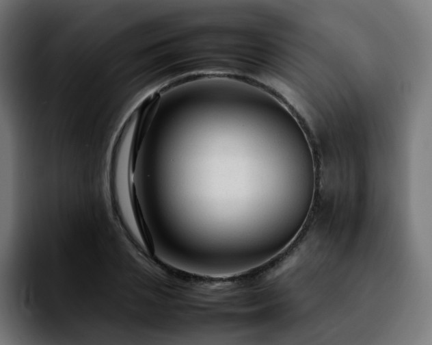 X0000092210837200709210948