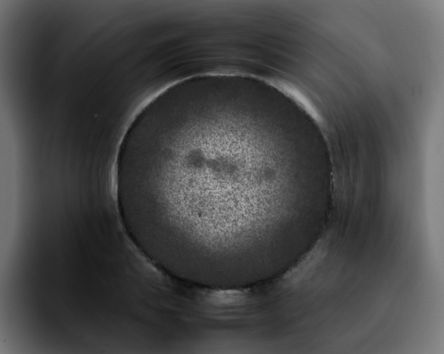 X0000092210839200709210948