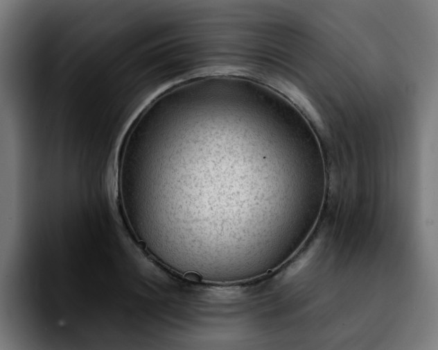 X0000092210844200709210948