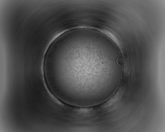 X0000092210847200709210948