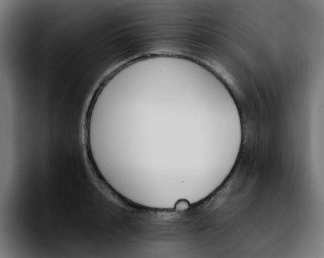 X0000092210848200709210948