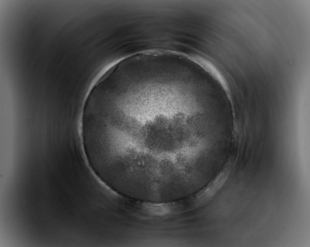 X0000092210855200709210948