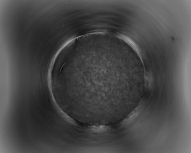 X0000092210859200709210948