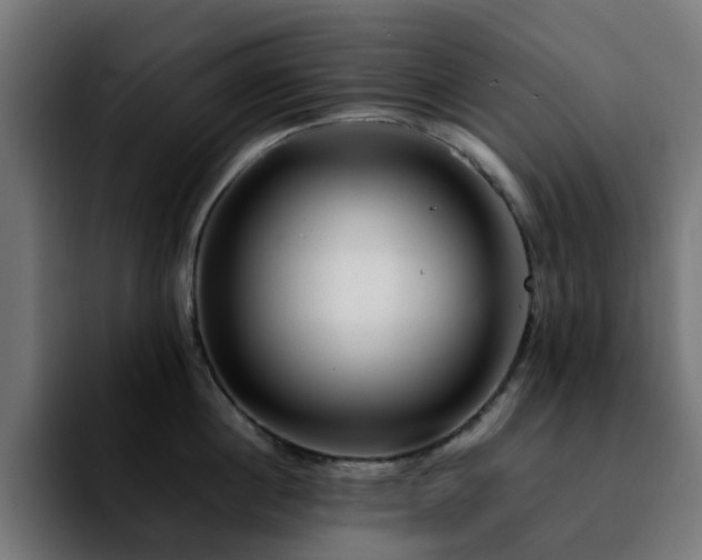 X0000092210860200709210948