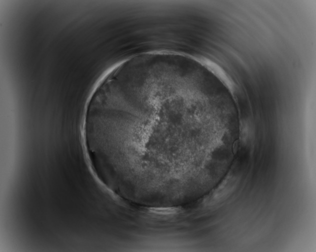 X0000092210863200709210948