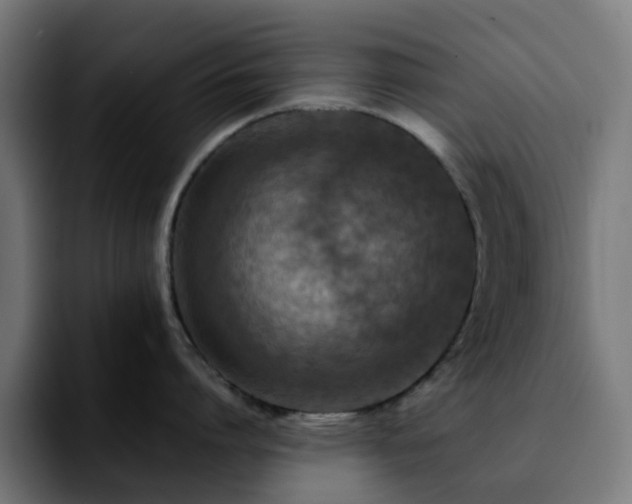 X0000092210864200709210948