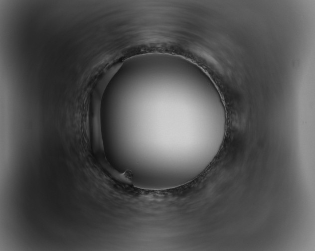 X0000092210869200709210948