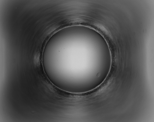 X0000092210873200709210948