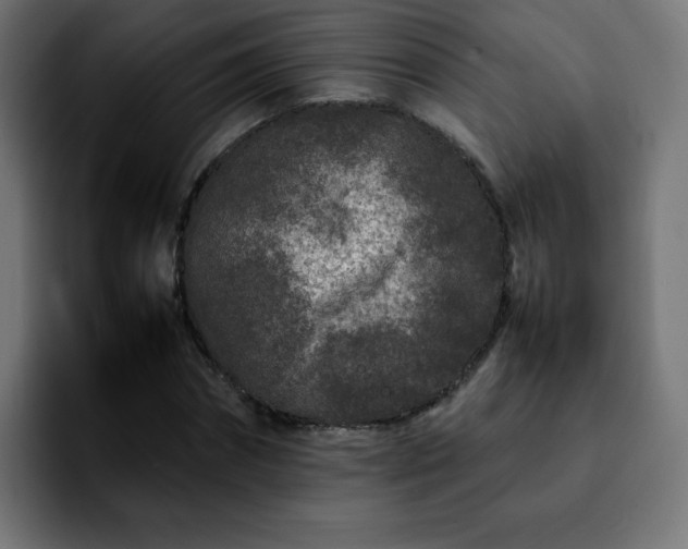 X0000092210874200709210948