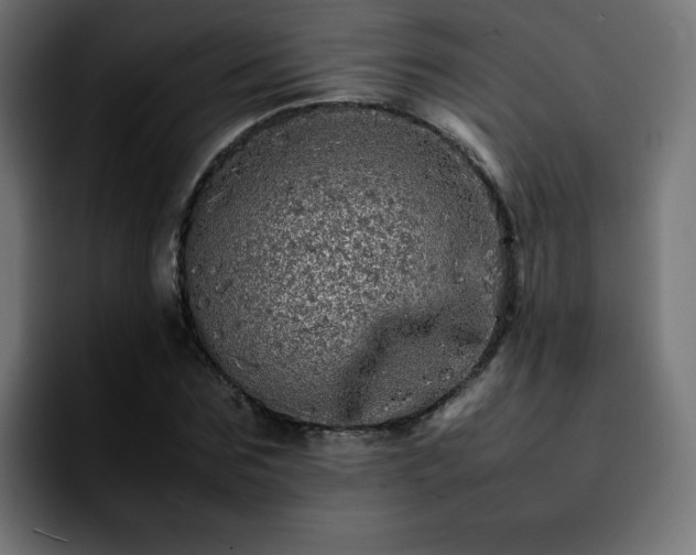 X0000092210875200709210948