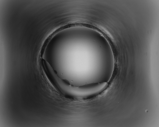 X0000092210877200709210948