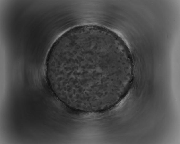 X0000092210879200709210948