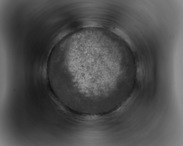 X0000092210882200709210948