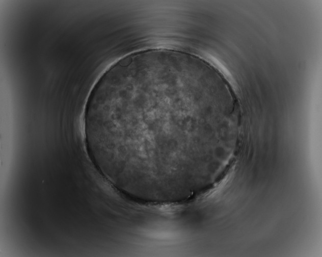 X0000092210891200709210948