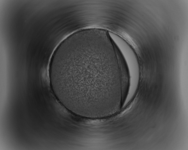 X0000092210892200709210948