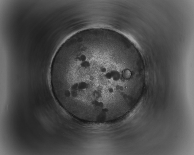 X0000092210895200709210948