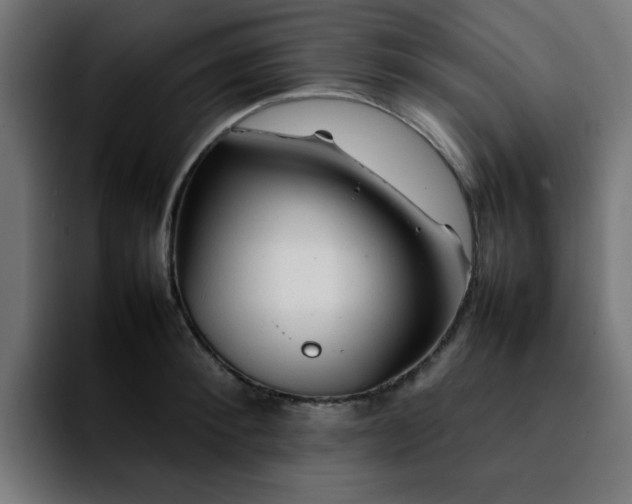 X0000092210900200709210947