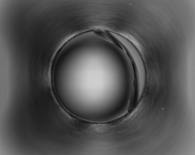 X0000092210902200709210947