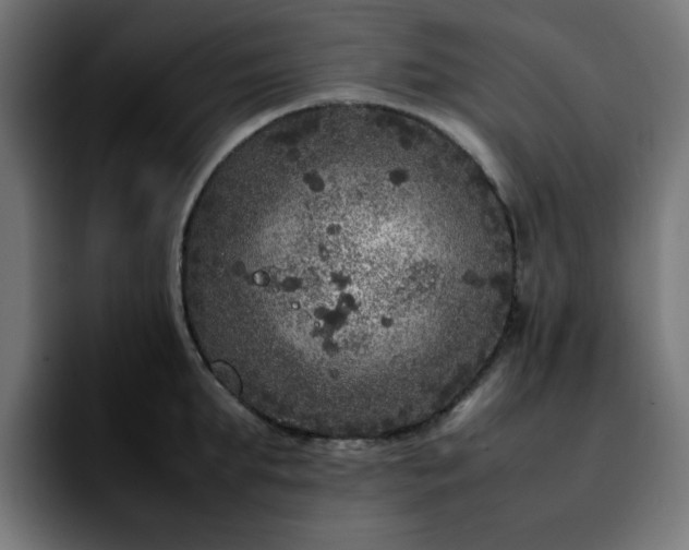 X0000092210903200709210947