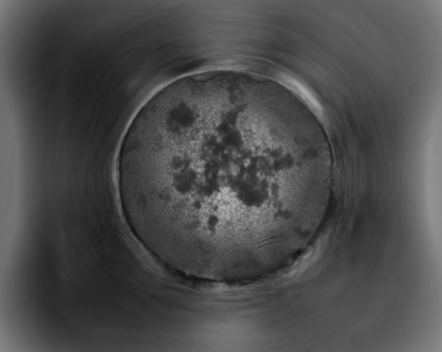 X0000092210907200709210947