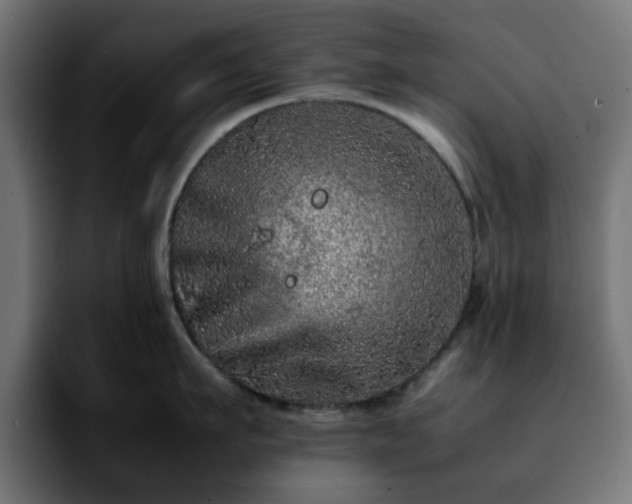 X0000092210911200709210947