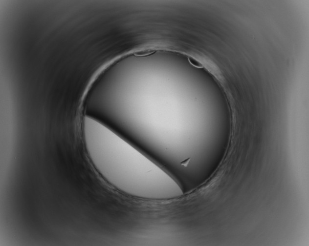 X0000092210912200709210947