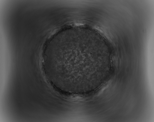 X0000092210913200709210947