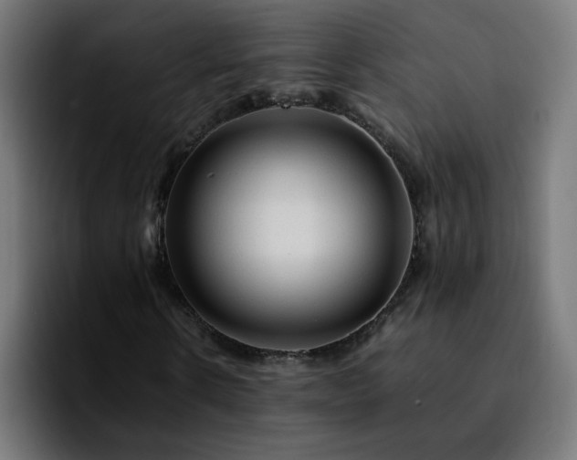 X0000092210914200709210947