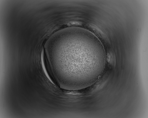 X0000092210915200709210947