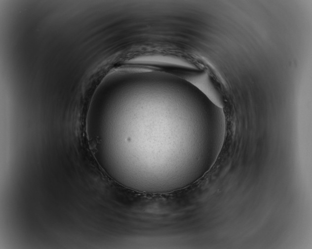 X0000092210919200709210947