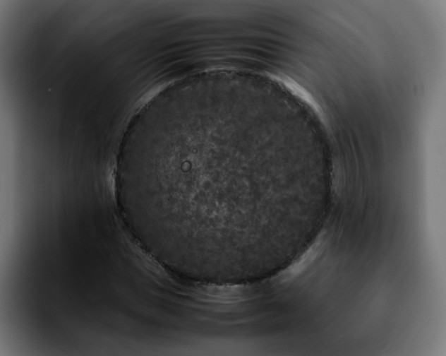 X0000092210921200709210947