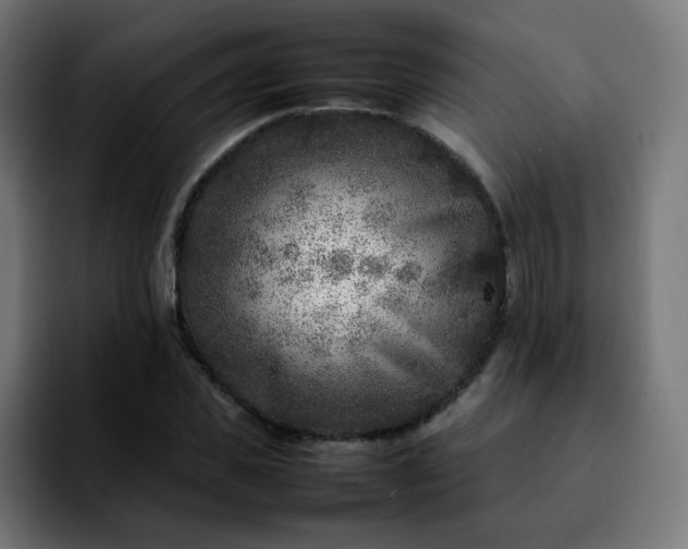 X0000092210925200709210947