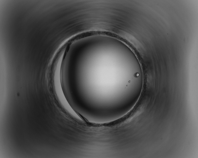 X0000092210926200709210947