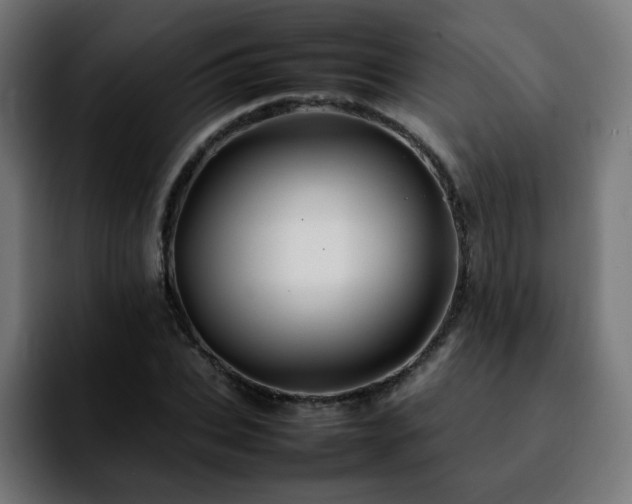 X0000092210927200709210947