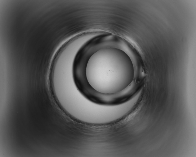 X0000092210928200709210947