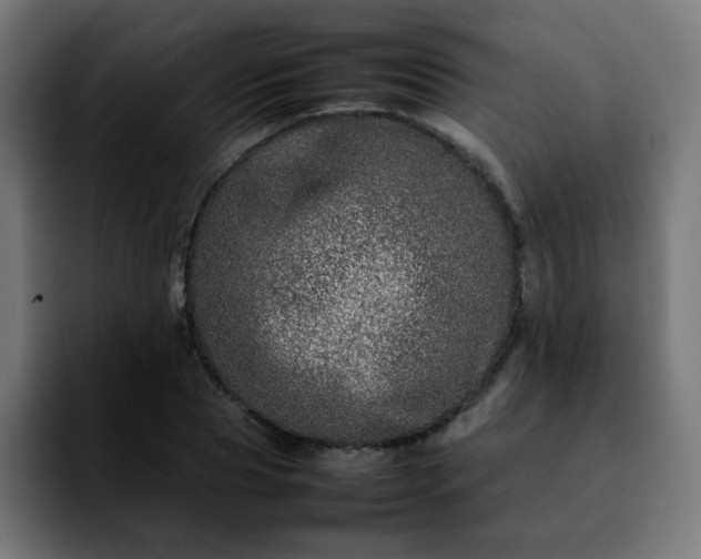 X0000092210929200709210947