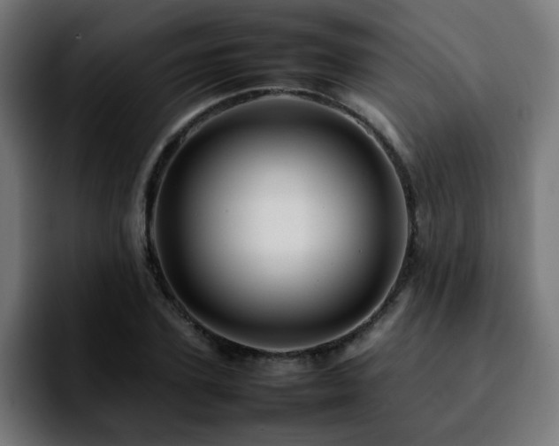 X0000092210931200709210947