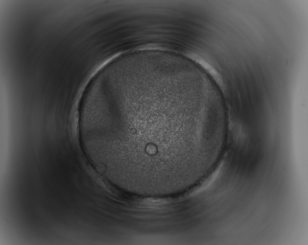 X0000092210933200709210947