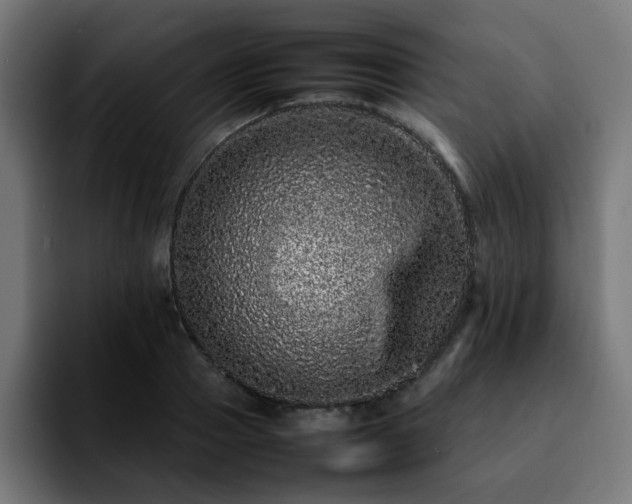 X0000092210937200709210947