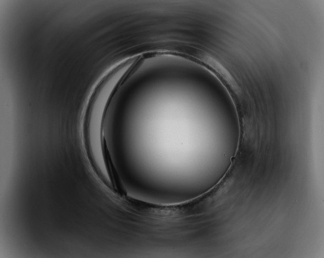 X0000092210939200709210947