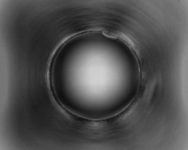 X0000092210947200709210947