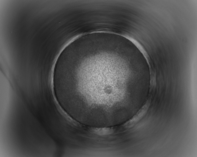 X0000092210957200709210947