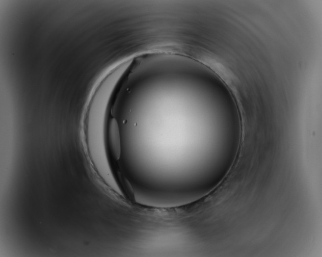 X0000092210960200709210947